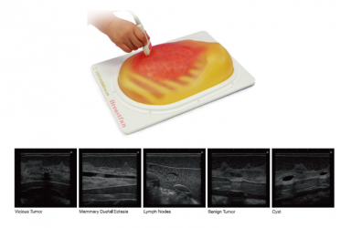 [US-6] 유방 초음파 팬텀